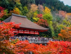 亚洲经济：尽管天气变冷，日本入境旅游仍激增